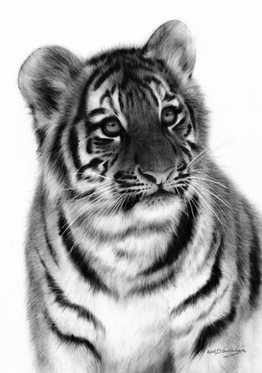 Painting titled "Tiger Cub" by Danguole Serstinskaja, Original Artwork, Oil
