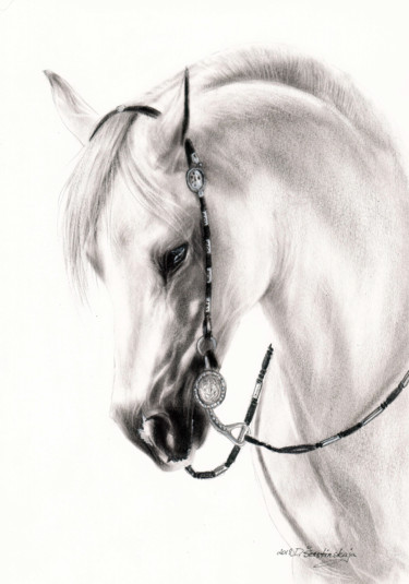 Картина под названием "White Arabian" - Danguole Serstinskaja, Подлинное произведение искусства, Масло