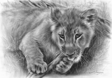 Картина под названием "Lion Cub I" - Danguole Serstinskaja, Подлинное произведение искусства, Масло