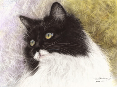 Dessin intitulée "Tuxedo Cat" par Danguole Serstinskaja, Œuvre d'art originale, Huile