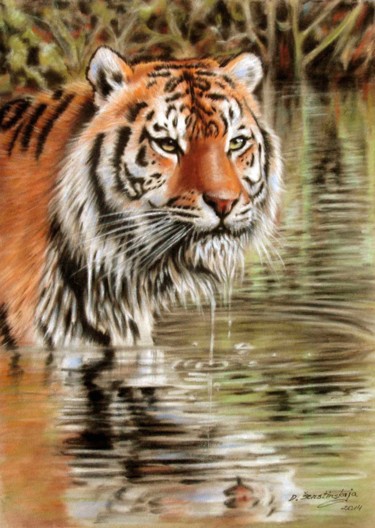 Pintura intitulada "Tiger in water" por Danguole Serstinskaja, Obras de arte originais, Óleo