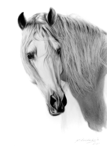 Pintura intitulada "White Horse" por Danguole Serstinskaja, Obras de arte originais, Óleo