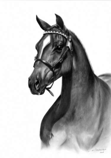 Pittura intitolato "Arabian Horse" da Danguole Serstinskaja, Opera d'arte originale, Olio