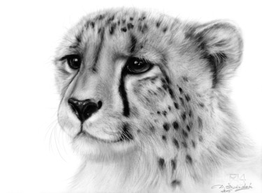 Pintura intitulada "Cheetah" por Danguole Serstinskaja, Obras de arte originais, Óleo