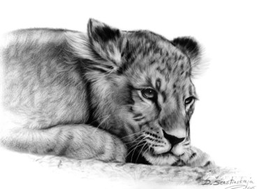 Картина под названием "Lion Cub" - Danguole Serstinskaja, Подлинное произведение искусства, Масло