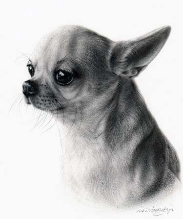 Painting titled "Chihuahua Butch" by Danguole Serstinskaja, Original Artwork, Oil