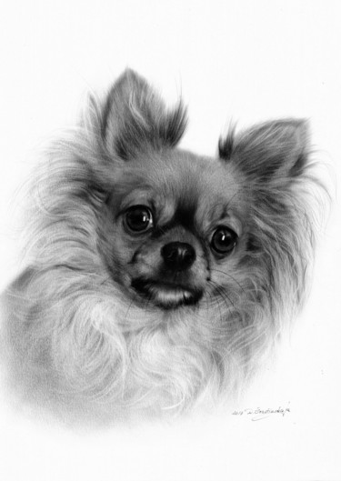 Ζωγραφική με τίτλο "Chihuahua x" από Danguole Serstinskaja, Αυθεντικά έργα τέχνης, Λάδι