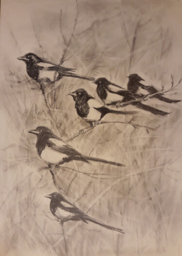 Drawing titled "A Flock of Magpies…" by Animesh Roy, Original Artwork, Charcoal