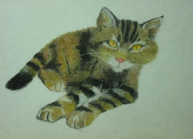 Pintura titulada "Gato" por Aniraka, Obra de arte original