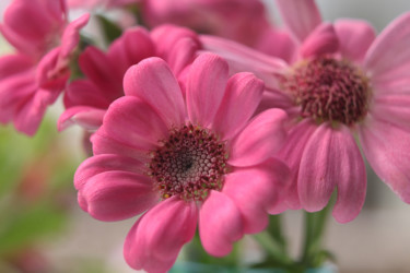 Fotografia intitulada "Pink flower" por Sonja, Obras de arte originais