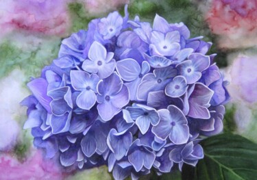 Painting titled "Hortensie" by Anita Burnaz, Original Artwork, Watercolor