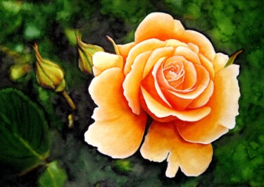 Schilderij getiteld "Gelbe Rose" door Anita Burnaz, Origineel Kunstwerk, Aquarel
