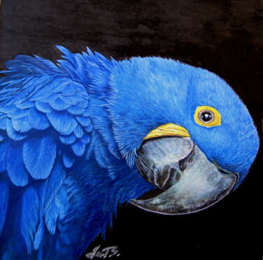 Malerei mit dem Titel "Hyazinthen Papagei" von Anita Burnaz, Original-Kunstwerk, Aquarell