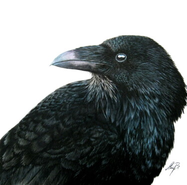 Painting titled "Raven" by Anita Burnaz, Original Artwork, Watercolor