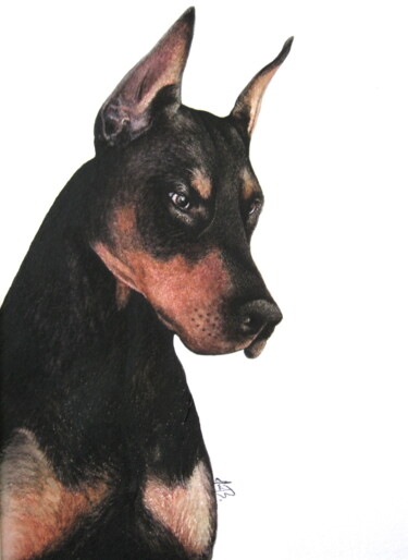 Painting titled "Doberman Dog" by Anita Burnaz, Original Artwork, Watercolor