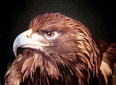 Malerei mit dem Titel "Golden Eagle" von Anita Burnaz, Original-Kunstwerk, Aquarell