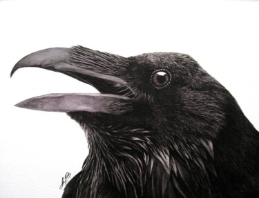 Painting titled "Raven" by Anita Burnaz, Original Artwork, Watercolor