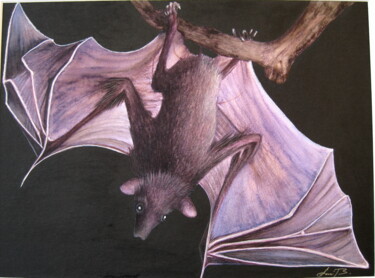 Malerei mit dem Titel "Flying Fox" von Anita Burnaz, Original-Kunstwerk, Aquarell