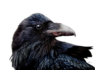 Pittura intitolato "Raven" da Anita Burnaz, Opera d'arte originale, Acquarello