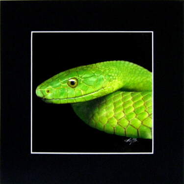 Malerei mit dem Titel "Green Mamba snake" von Anita Burnaz, Original-Kunstwerk, Tempera