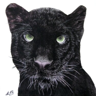 Pittura intitolato "Black Panther" da Anita Burnaz, Opera d'arte originale, Acquarello