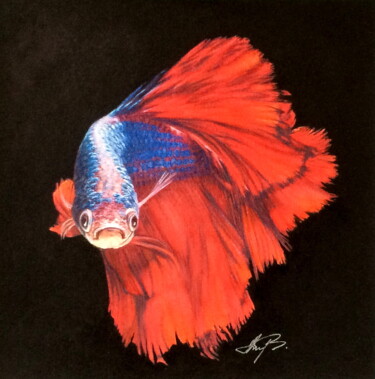 Peinture intitulée "Betta fish" par Anita Burnaz, Œuvre d'art originale, Aquarelle