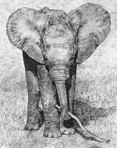 Drawing titled "Elefantenbaby I Ele…" by Anja Semling, Original Artwork, Ink Mounted on Glass