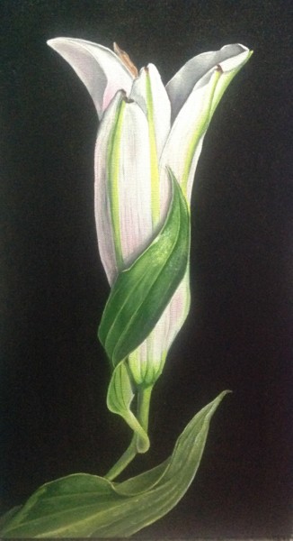 Painting titled "white beauty" by Anjana Kothari, Original Artwork, Acrylic