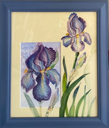 绘画 标题为“Flag Iris” 由Ann Dunbar, 原创艺术品, 水彩 安装在纸板上