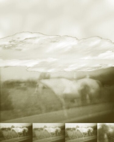 Digital Arts titled "Ghost Horse Colorado" by Ann Tracy, Original Artwork