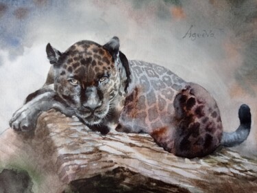 Painting titled "Wild black leopard." by Anna Ageeva, Original Artwork, Watercolor