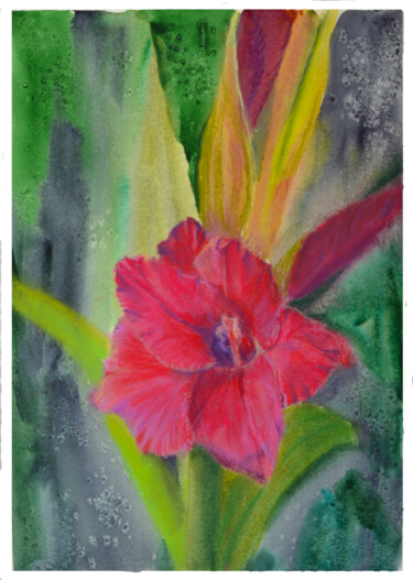 Malerei mit dem Titel "Velvet gladiolus" von Anna Baranova, Original-Kunstwerk, Pastell