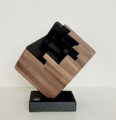 Sculpture titled "Disgregazione del c…" by Anna Beltrame A＋D Art, Original Artwork, Wood