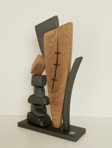 Sculptuur getiteld "Ferite insanabili" door Anna Beltrame A＋D Art, Origineel Kunstwerk, Hout