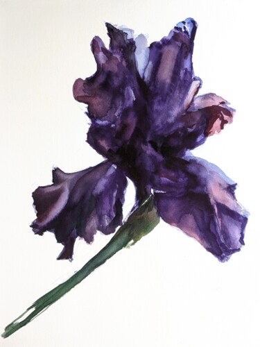 Malarstwo zatytułowany „Violet Iris” autorstwa Anna Brazhnikova, Oryginalna praca, Akwarela