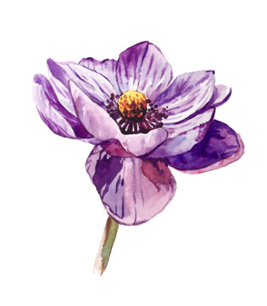 Painting titled "Anemone Flower" by Anna Inozemtseva, Original Artwork, Watercolor