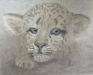 Disegno intitolato "Snow leopard cub" da Anna Killinger, Opera d'arte originale, Matita