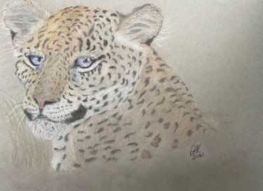 Dessin intitulée "Leopard's portrait" par Anna Killinger, Œuvre d'art originale, Crayon