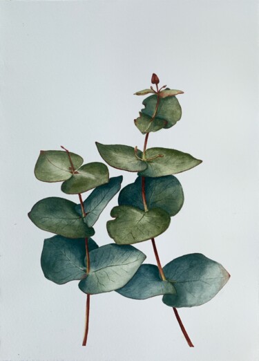 Pittura intitolato "Eucalyptus" da Anna Levchuk, Opera d'arte originale, Acquarello