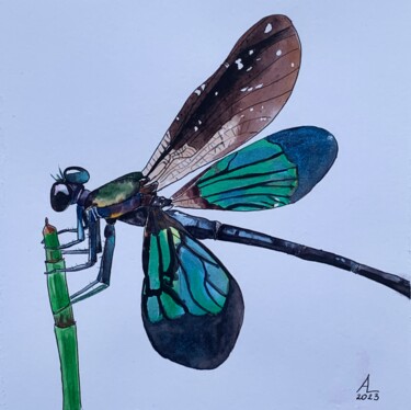 Malerei mit dem Titel "Dragonfly" von Anna Levchuk, Original-Kunstwerk, Aquarell