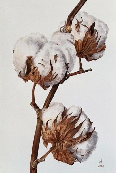 Painting titled "Cotton" by Anna Levchuk, Original Artwork, Watercolor