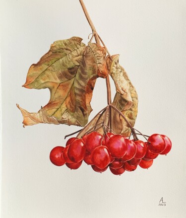 Painting titled "Guelder rose" by Anna Levchuk, Original Artwork, Watercolor