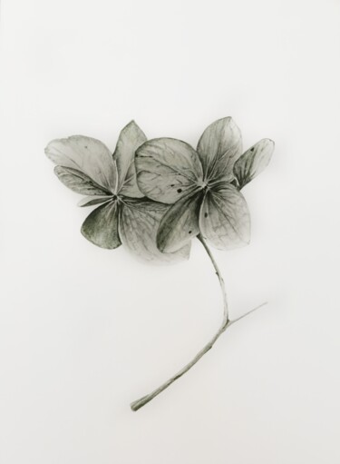 Картина под названием "Не увядающая красота" - Анна Махова, Подлинное произведение искусства, Акварель