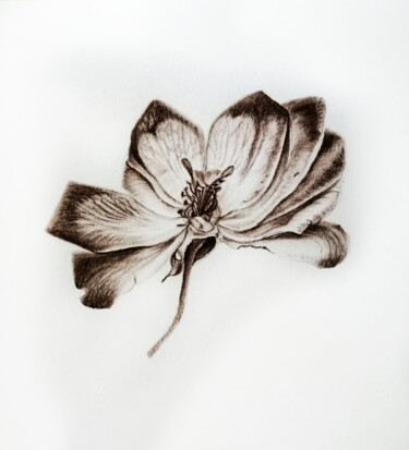 Rysunek zatytułowany „Осенняя Роза” autorstwa Анна Махова, Oryginalna praca, Ołówek