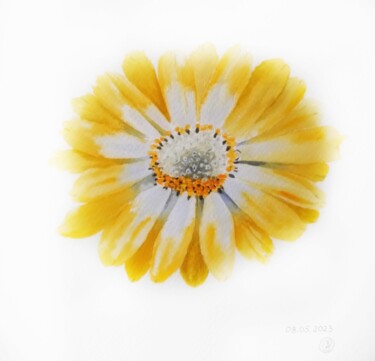Картина под названием "Солнечный цветок" - Анна Махова, Подлинное произведение искусства, Акварель