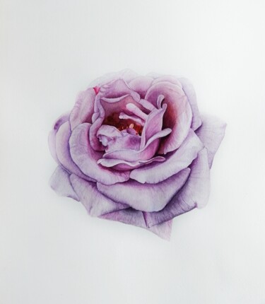Картина под названием "Фиолетовая роза" - Анна Махова, Подлинное произведение искусства, Акварель