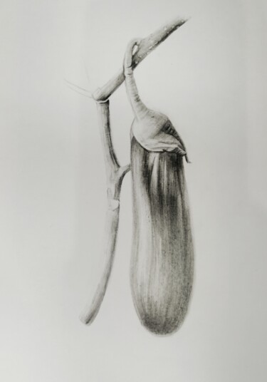 Dessin intitulée "Баклажан" par Anna Mahova, Œuvre d'art originale, Crayon