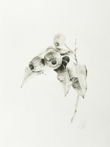 Картина под названием "Музыка ветра" - Анна Махова, Подлинное произведение искусства, Карандаш