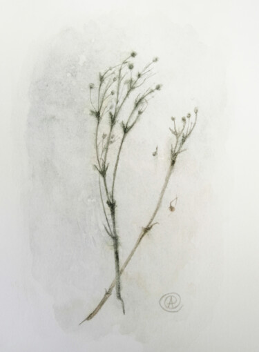 Картина под названием "Преображение сухой…" - Анна Махова, Подлинное произведение искусства, Акварель