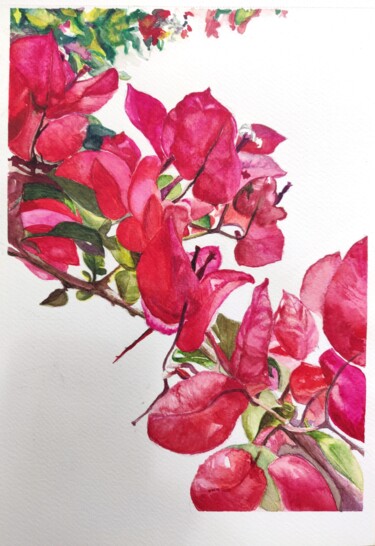 Painting titled "Red Bougainvillea" by Anna Malyshko, Original Artwork, Watercolor